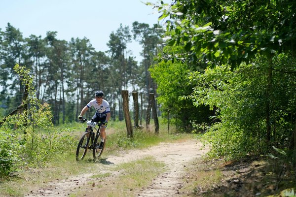 Recettes de repas sains pour un régime de musculation